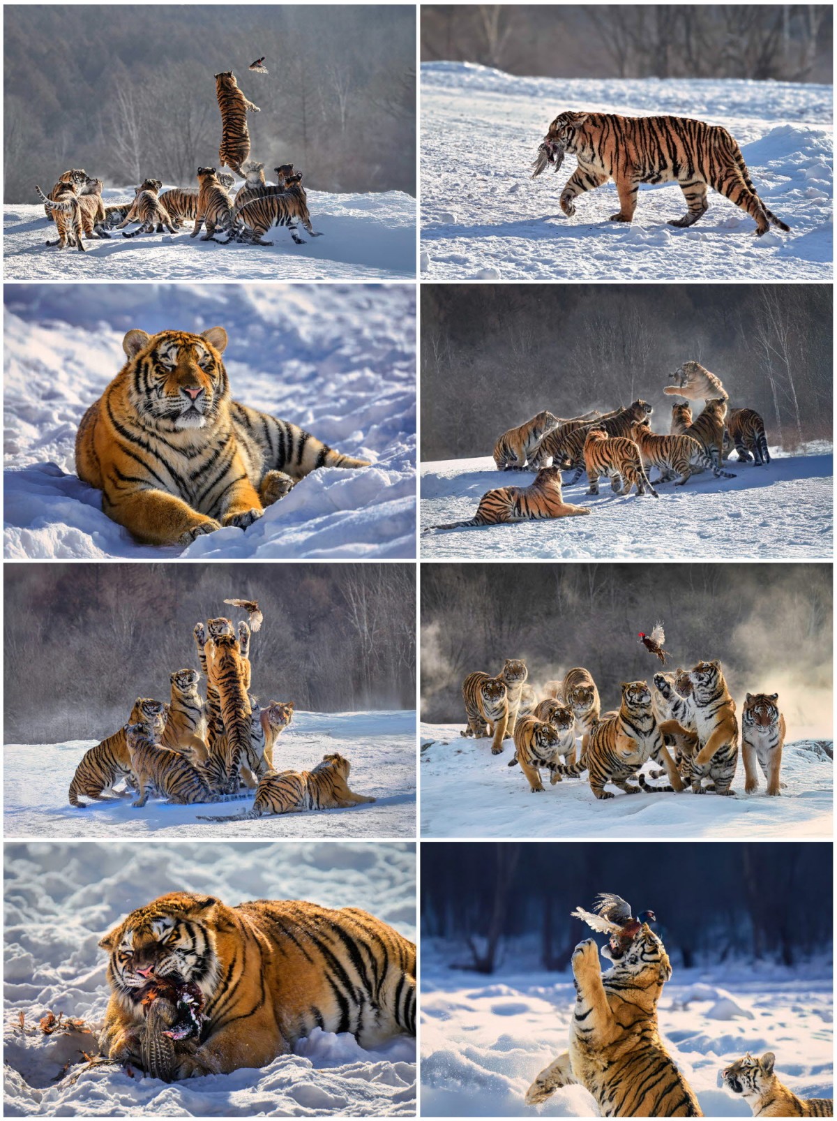 05fcbb20fd06a52b00221019f12f7649_1748884