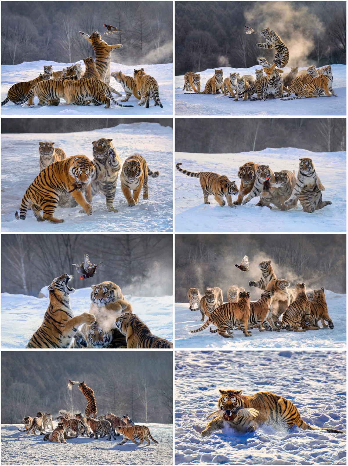 05fcbb20fd06a52b00221019f12f7649_1748884