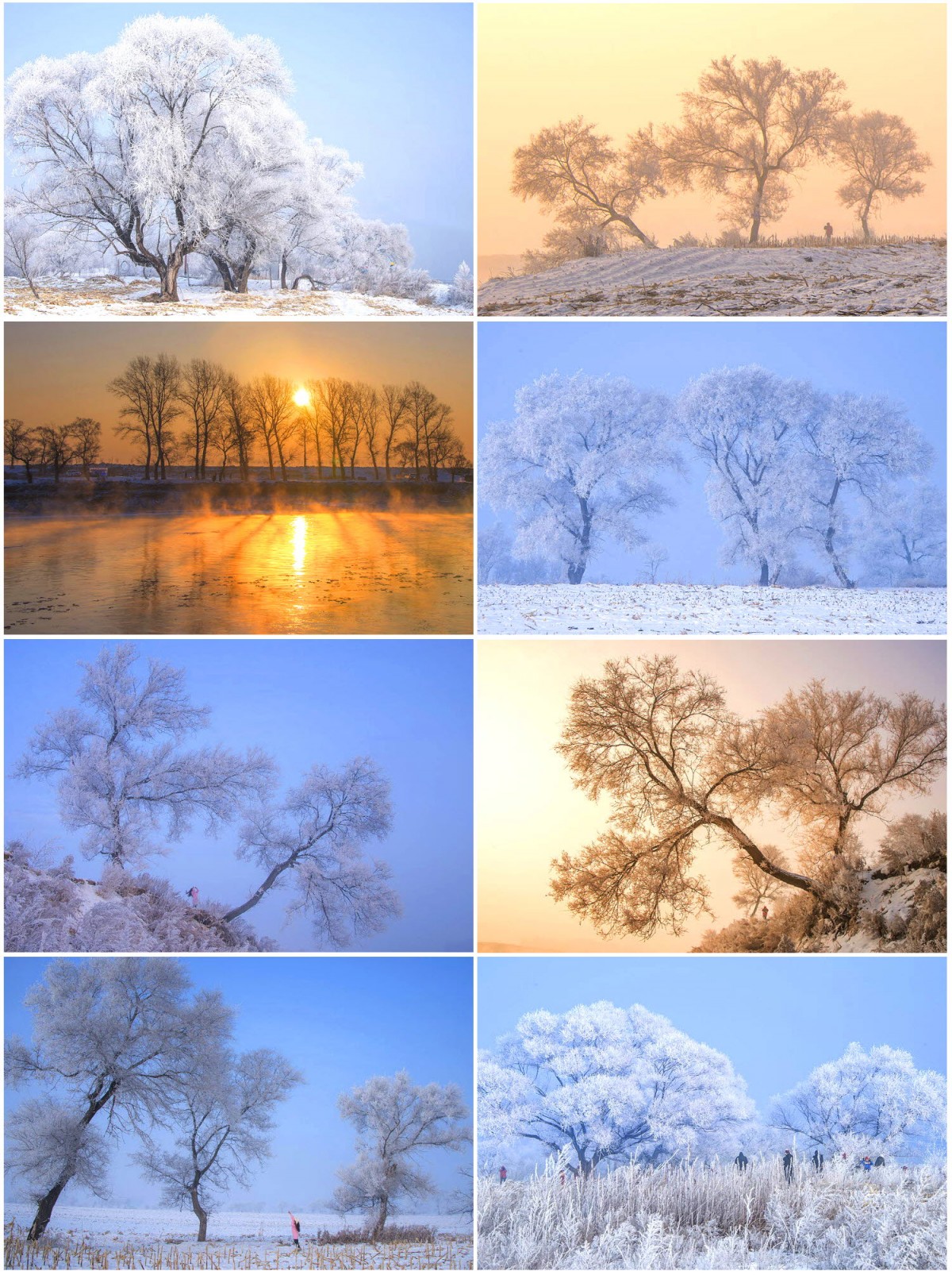 05fcbb20fd06a52b00221019f12f7649_1748884