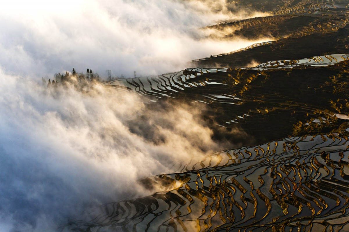 6e4777fcc1e706910e2716933c0f6bdc_1755367