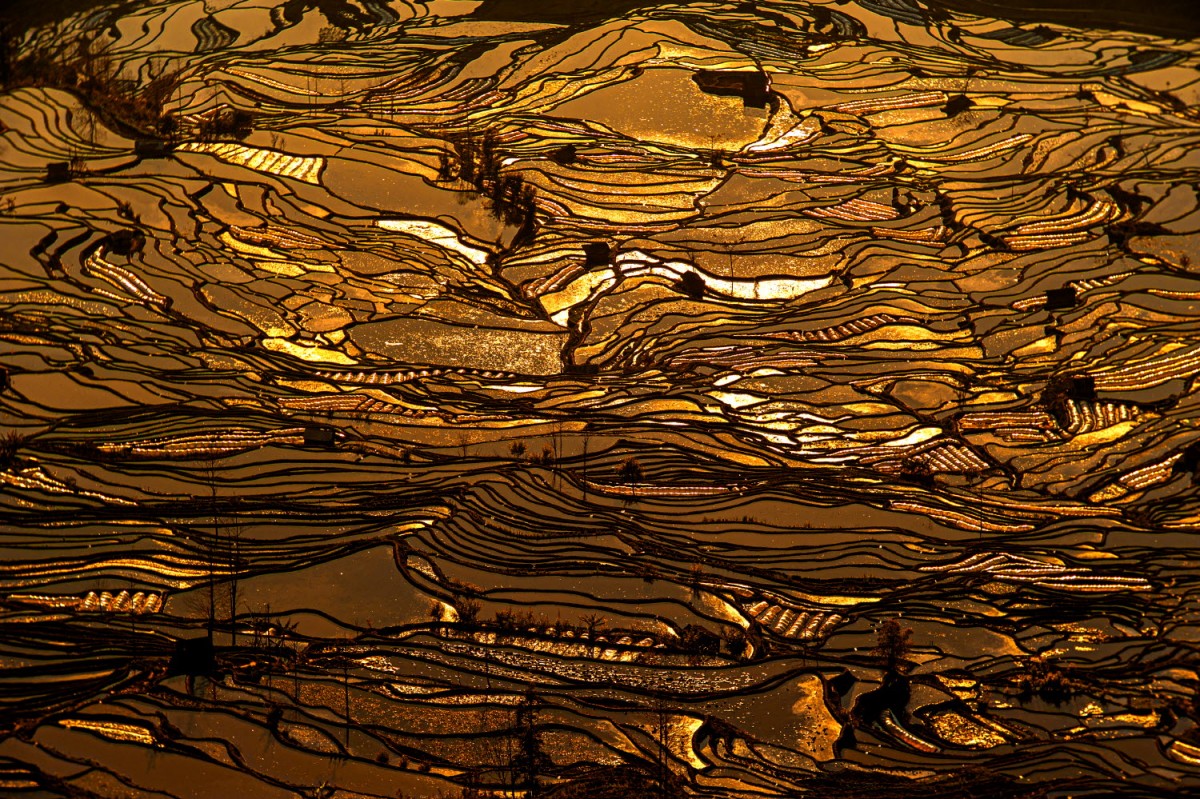 6e4777fcc1e706910e2716933c0f6bdc_1755367