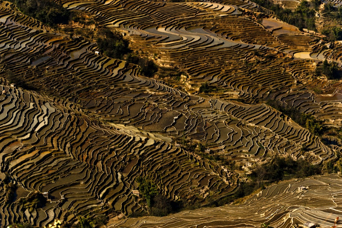 6e4777fcc1e706910e2716933c0f6bdc_1755367