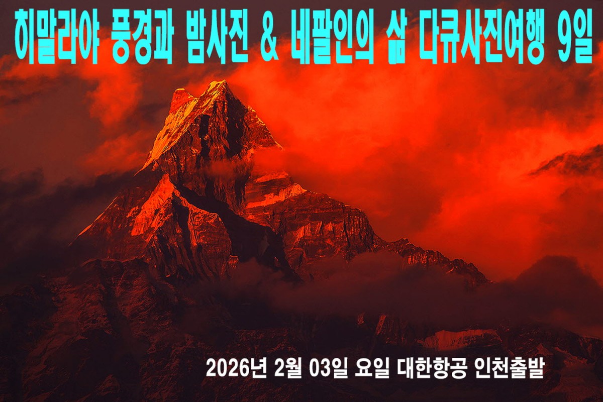 ad11ec003444b1d38c4d9d9e01b1dd61_1758125