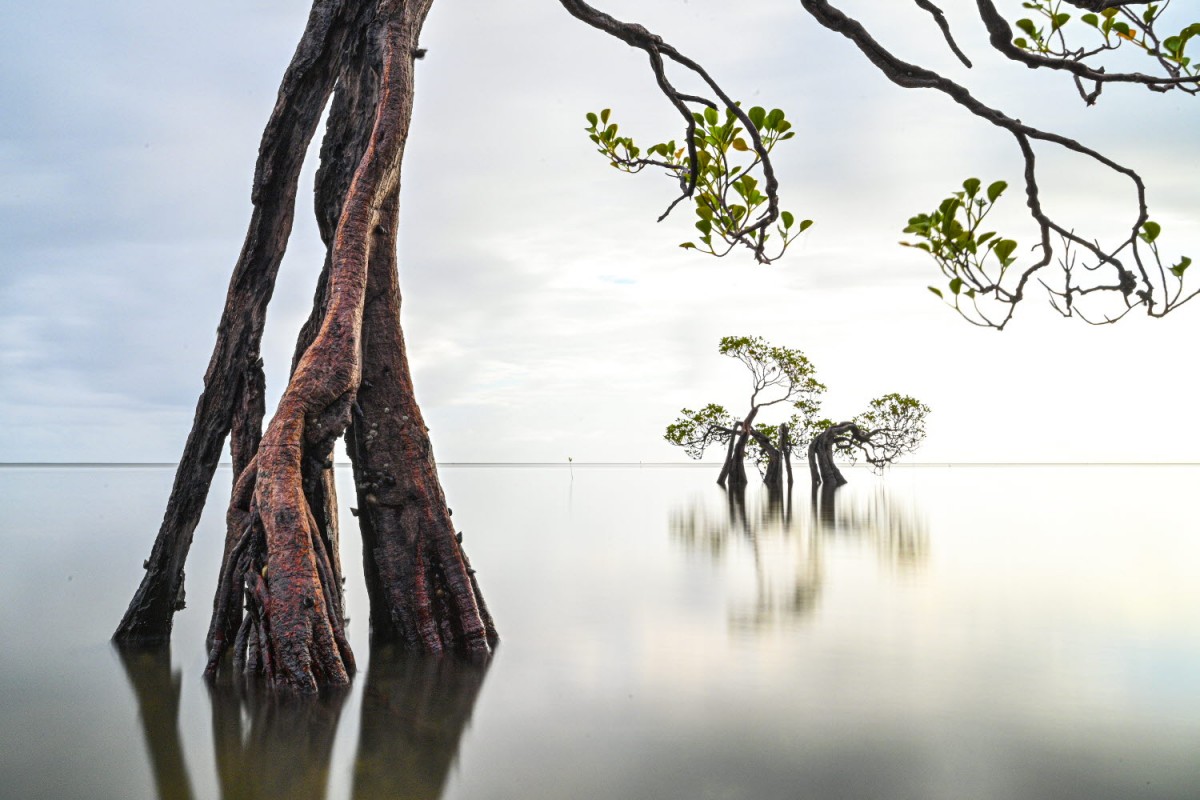 66e43706b64861e835326dbcfdfc9571_1759422