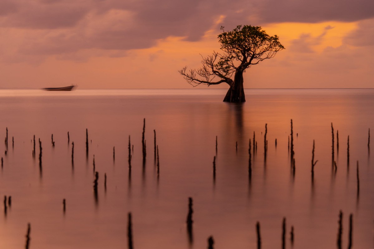 66e43706b64861e835326dbcfdfc9571_1759422