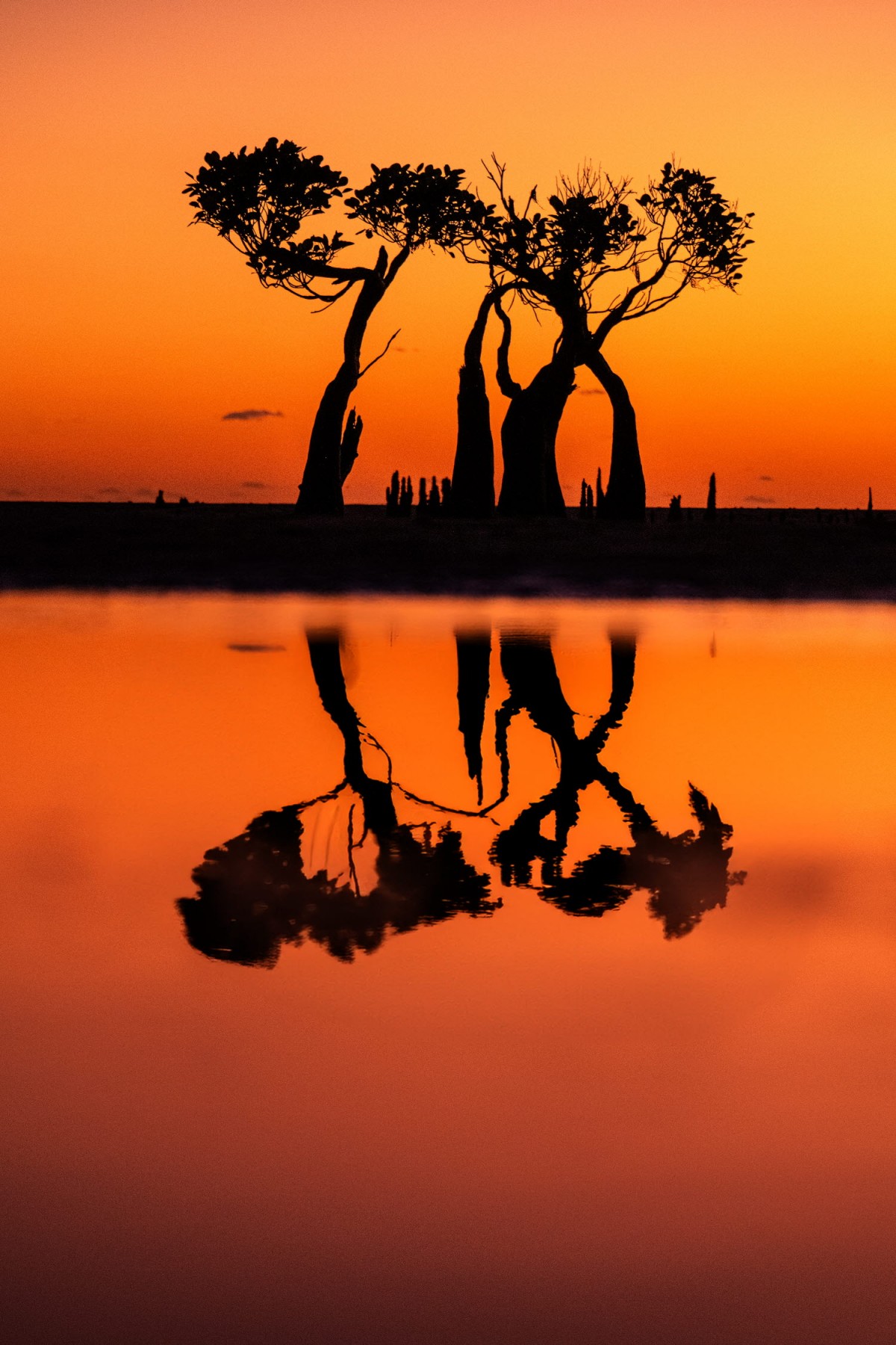 66e43706b64861e835326dbcfdfc9571_1759437