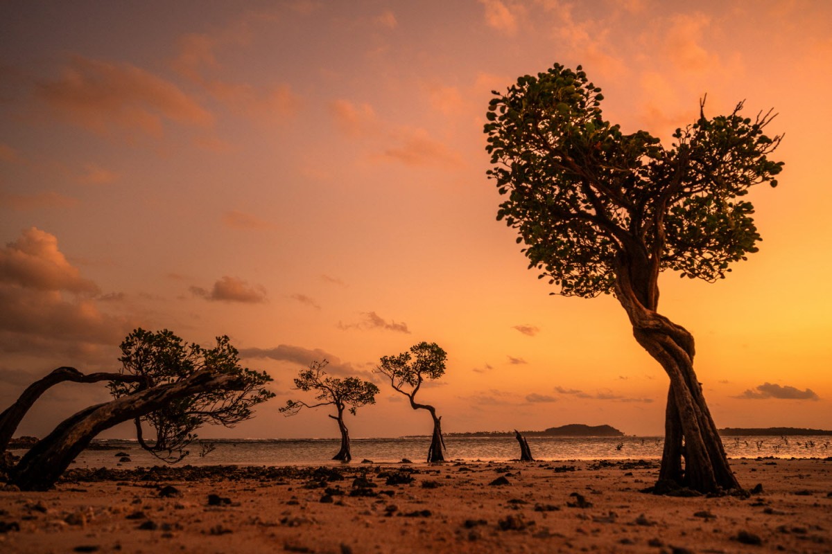 66e43706b64861e835326dbcfdfc9571_1759437