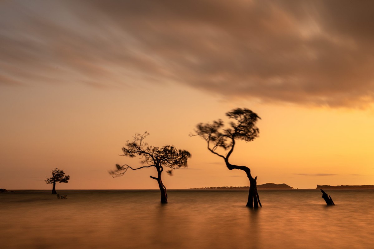 66e43706b64861e835326dbcfdfc9571_1759437