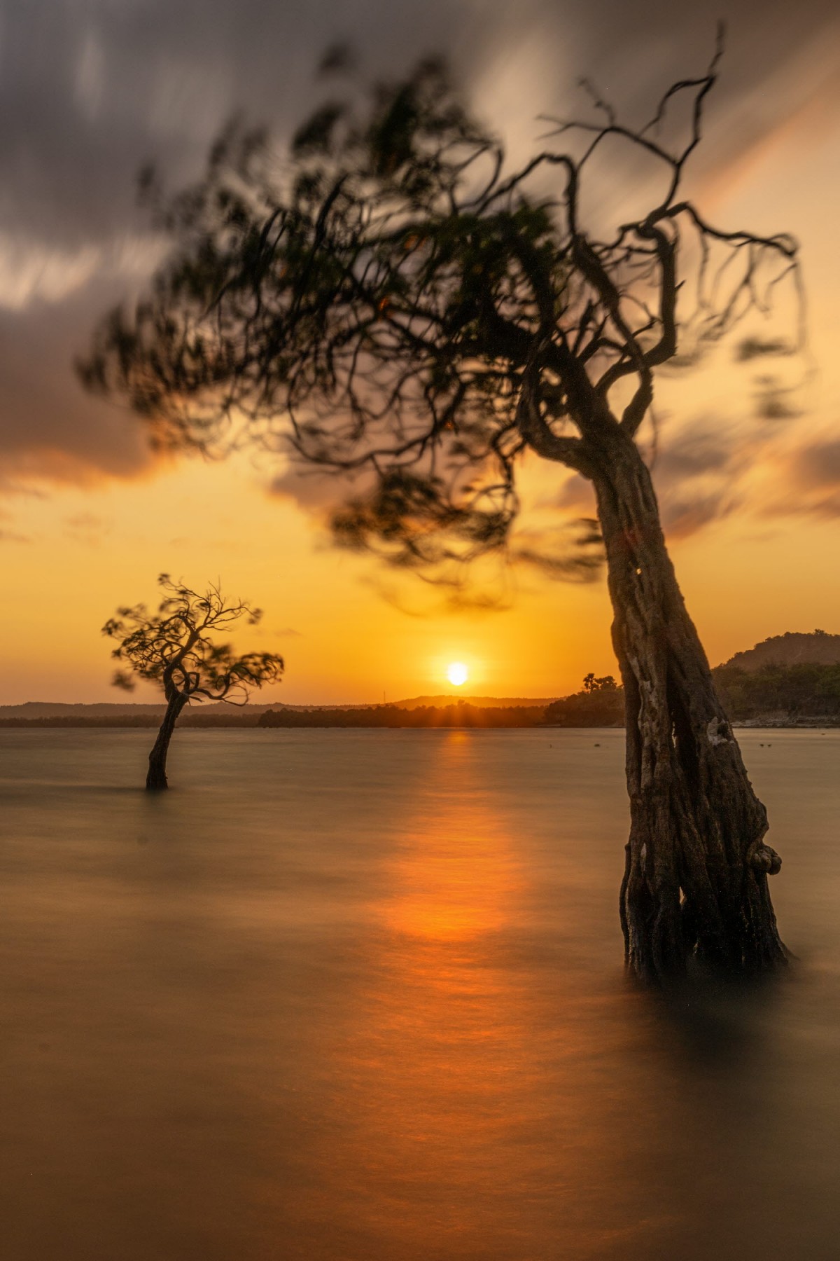 66e43706b64861e835326dbcfdfc9571_1759437