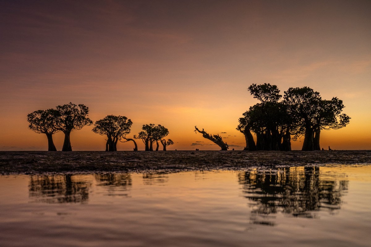 66e43706b64861e835326dbcfdfc9571_1759437