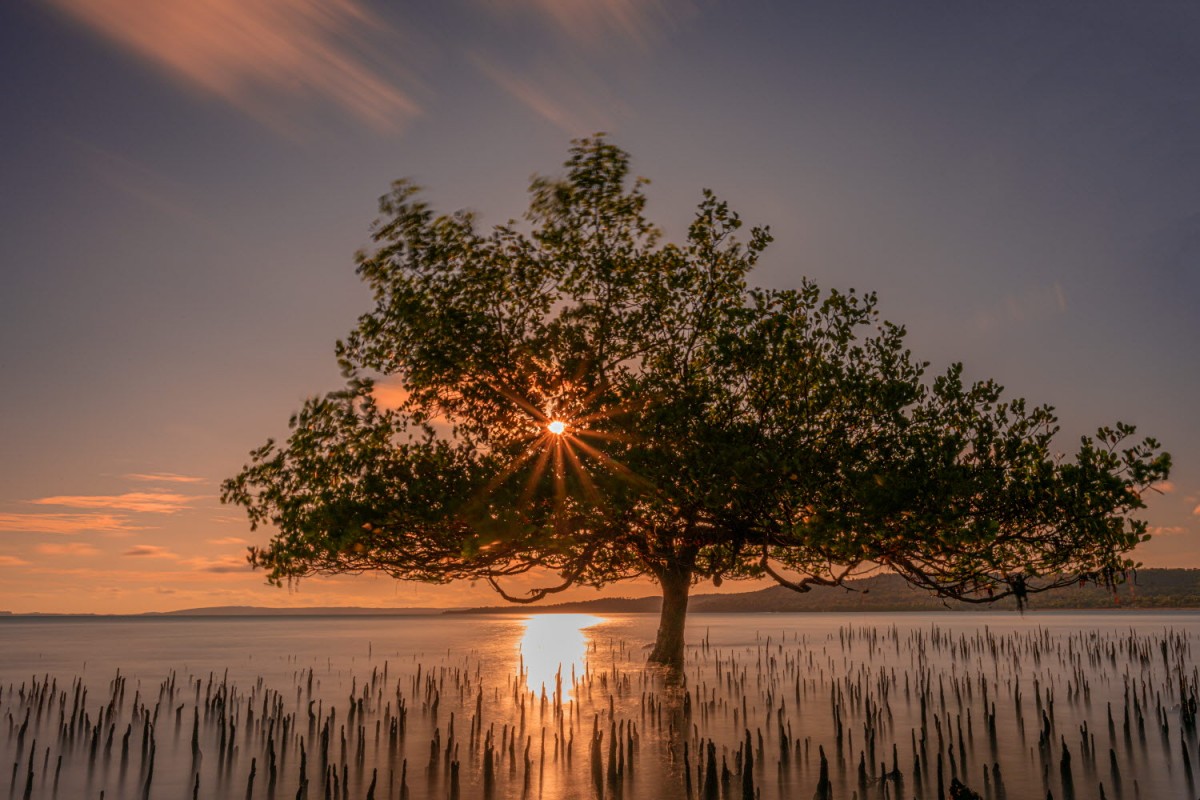 66e43706b64861e835326dbcfdfc9571_1759437