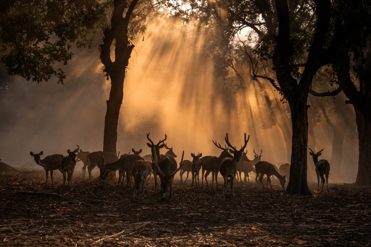 7f66272715b1726785a470b81f60d3dc_1759504