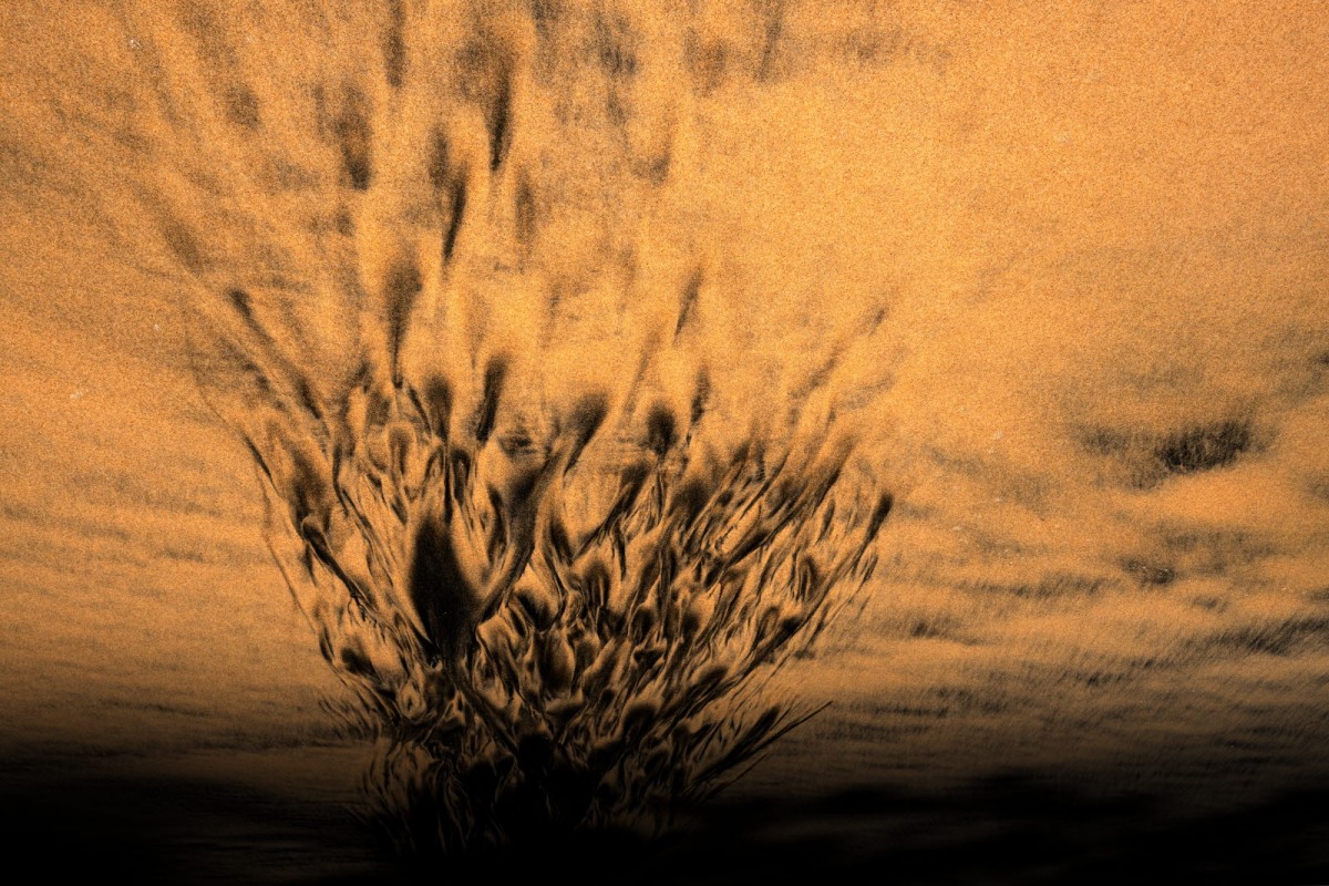 a899c22b7665293c0961f218f8e5df9a_1759494