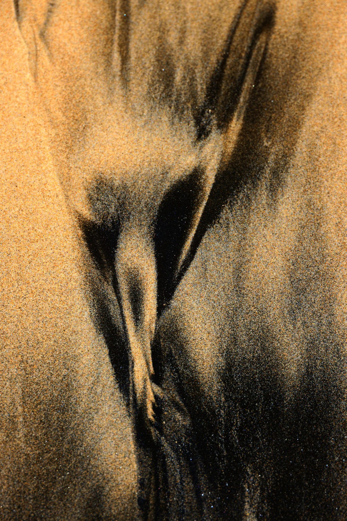 a899c22b7665293c0961f218f8e5df9a_1759494