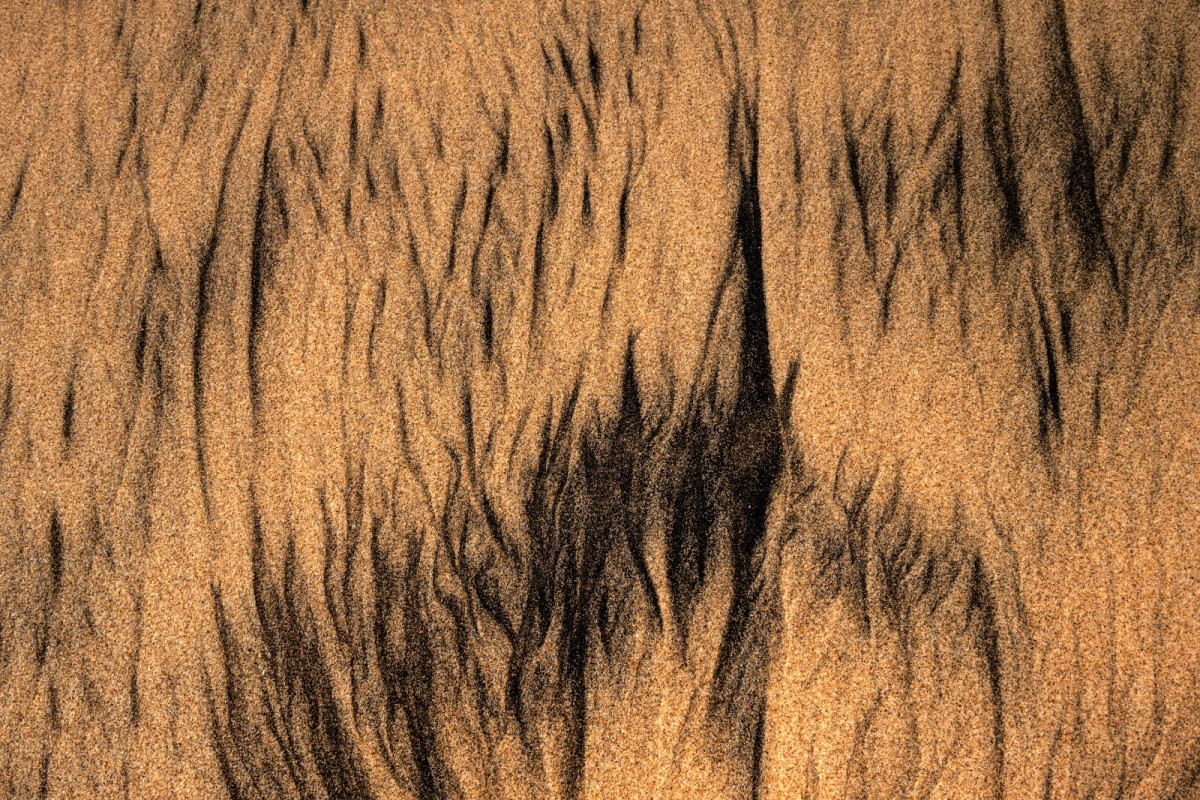 a899c22b7665293c0961f218f8e5df9a_1759494