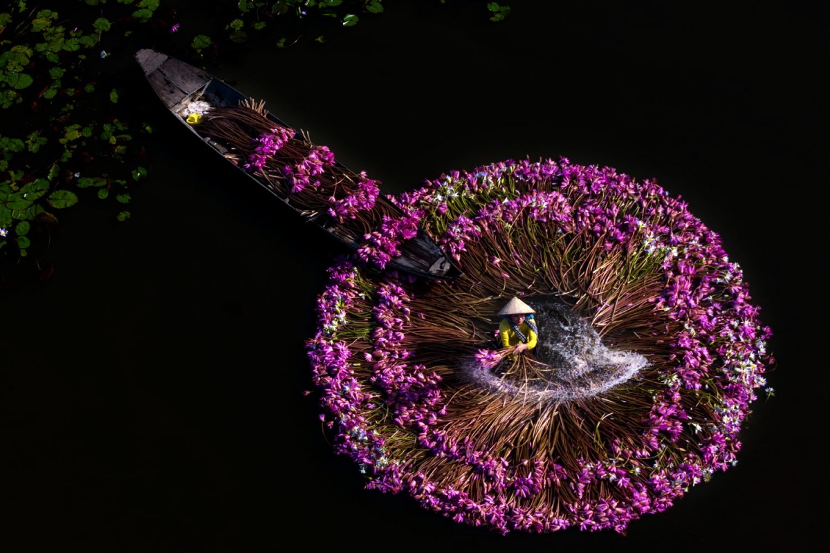 4ba9f169a7cd41ecad88e95d958c84ae_1763551