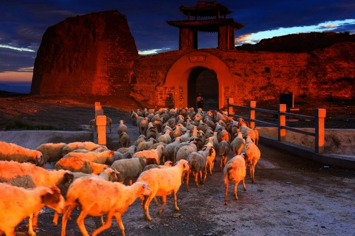 7f07972559a0bc5d7c57b0f42c96cf64_1764694