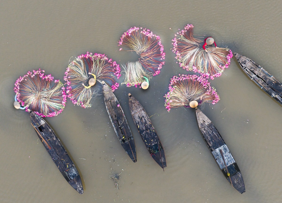 bdf7704f85228f9f0a0b3e61381698a5_1764684