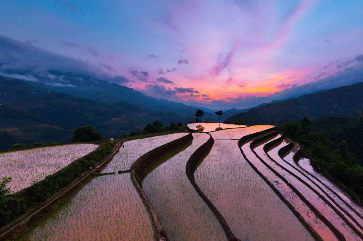 429c86956dd92a515ba6f622949a5ea6_1770924