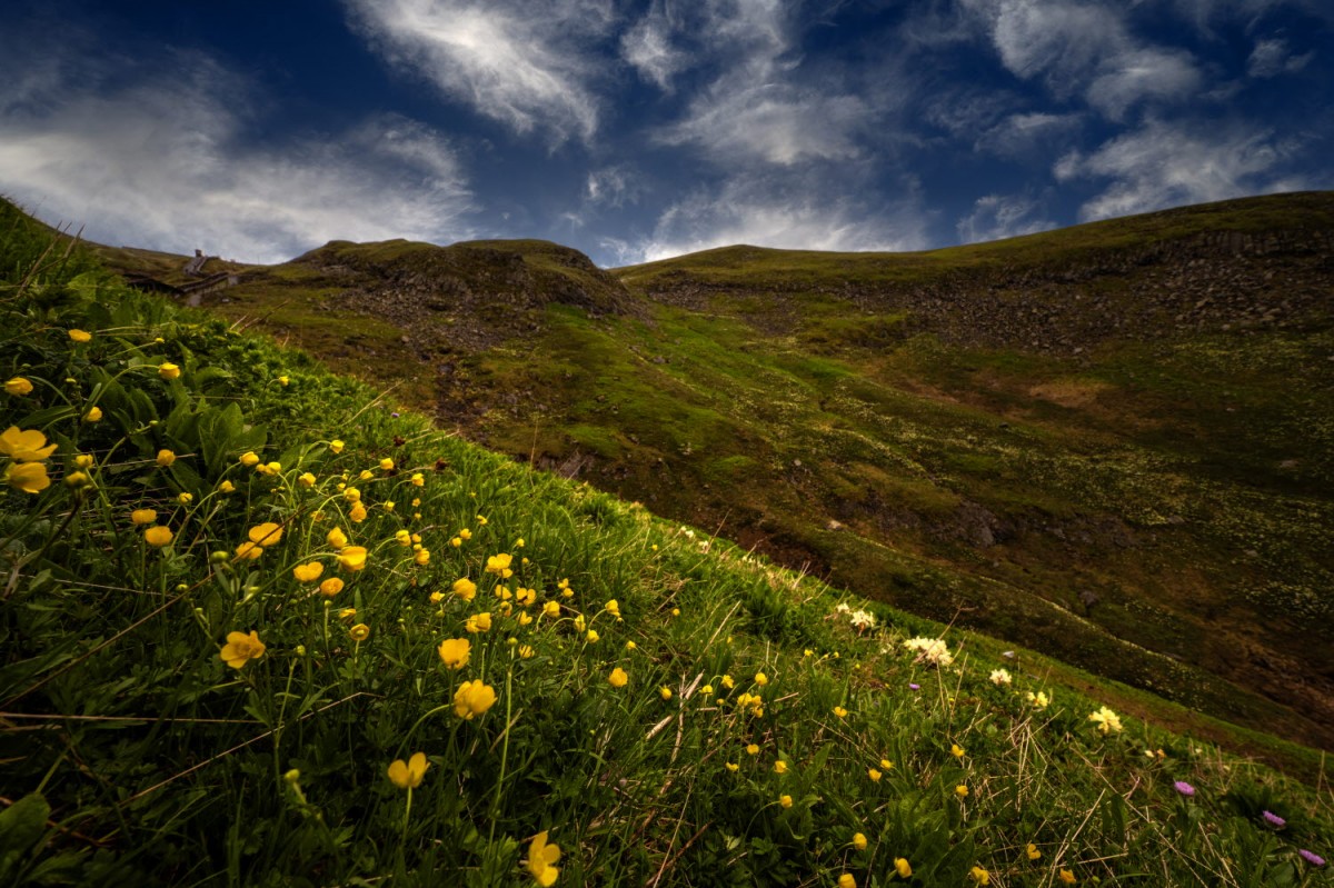 429c86956dd92a515ba6f622949a5ea6_1770926