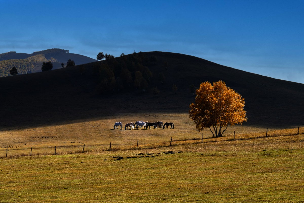 76b63a5c087bf0f90a562478afb0f484_1772471