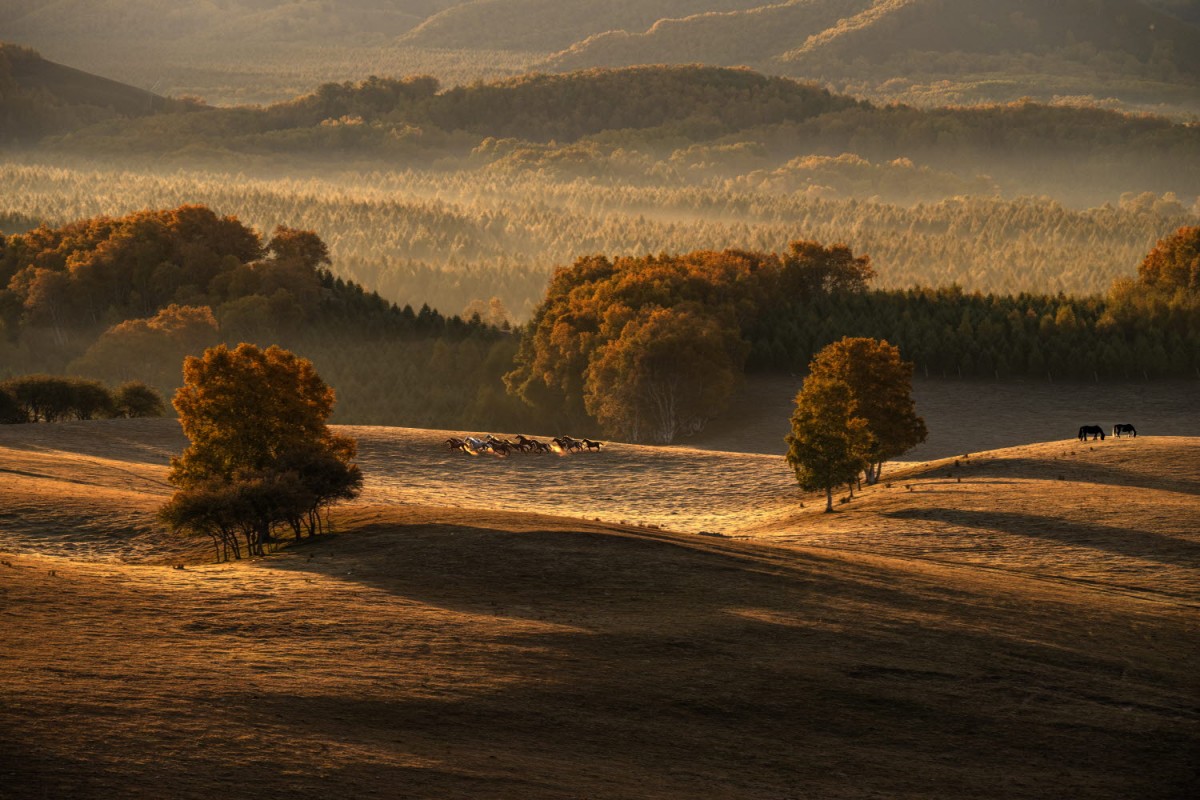 76b63a5c087bf0f90a562478afb0f484_1772471