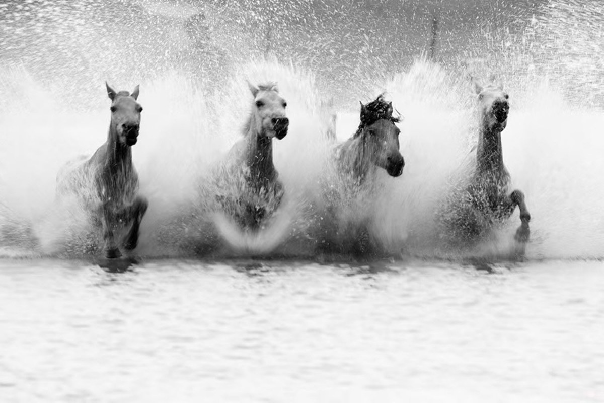 76b63a5c087bf0f90a562478afb0f484_1772471