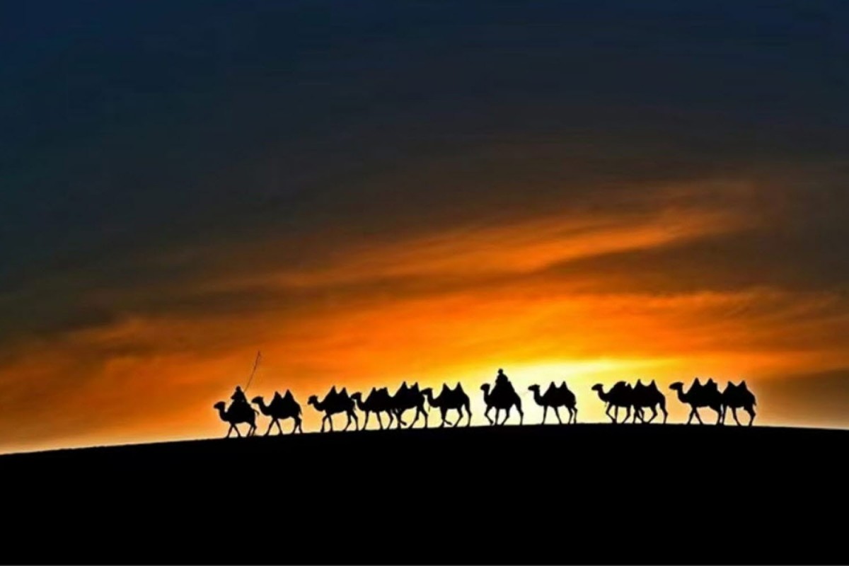 76b63a5c087bf0f90a562478afb0f484_1772471