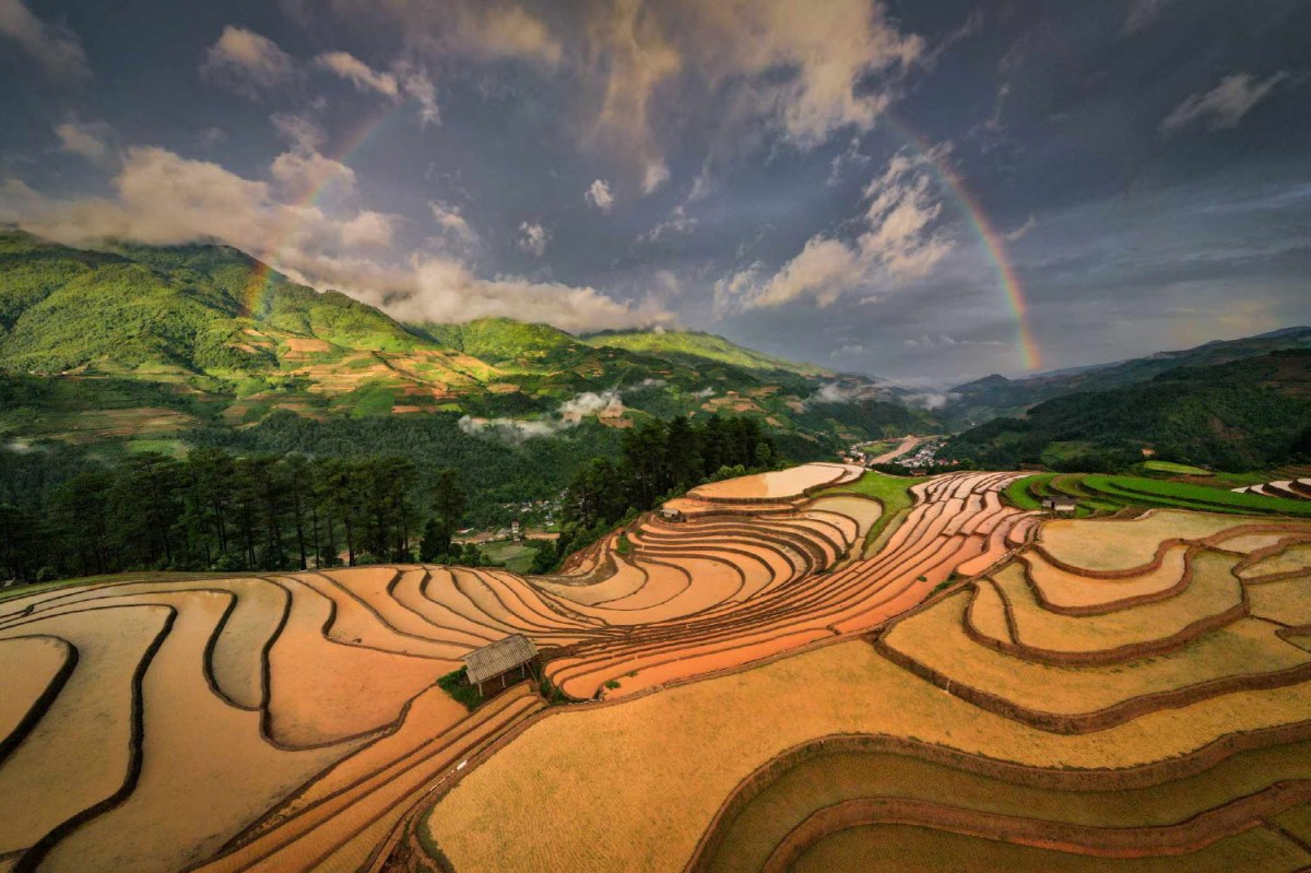 8f49cb61e20378edba53a8198f19c7e6_1772304