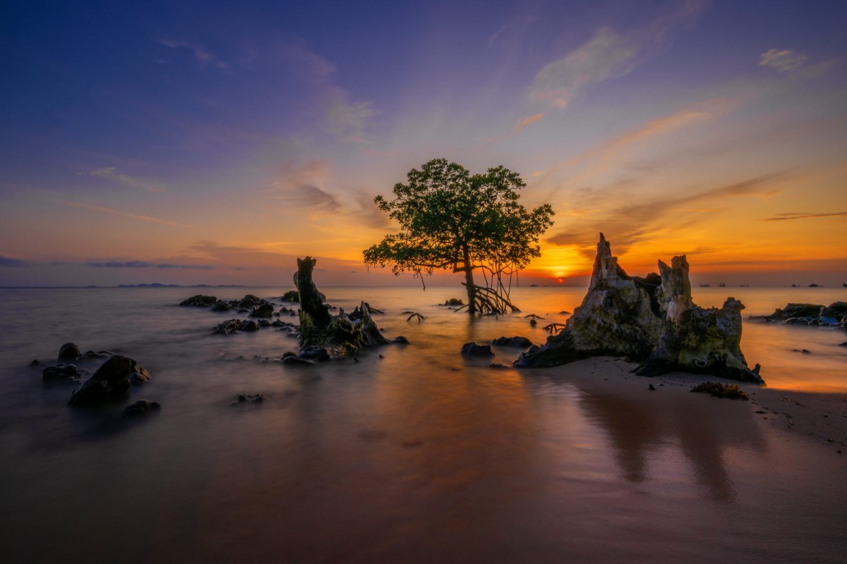 8f49cb61e20378edba53a8198f19c7e6_1772311