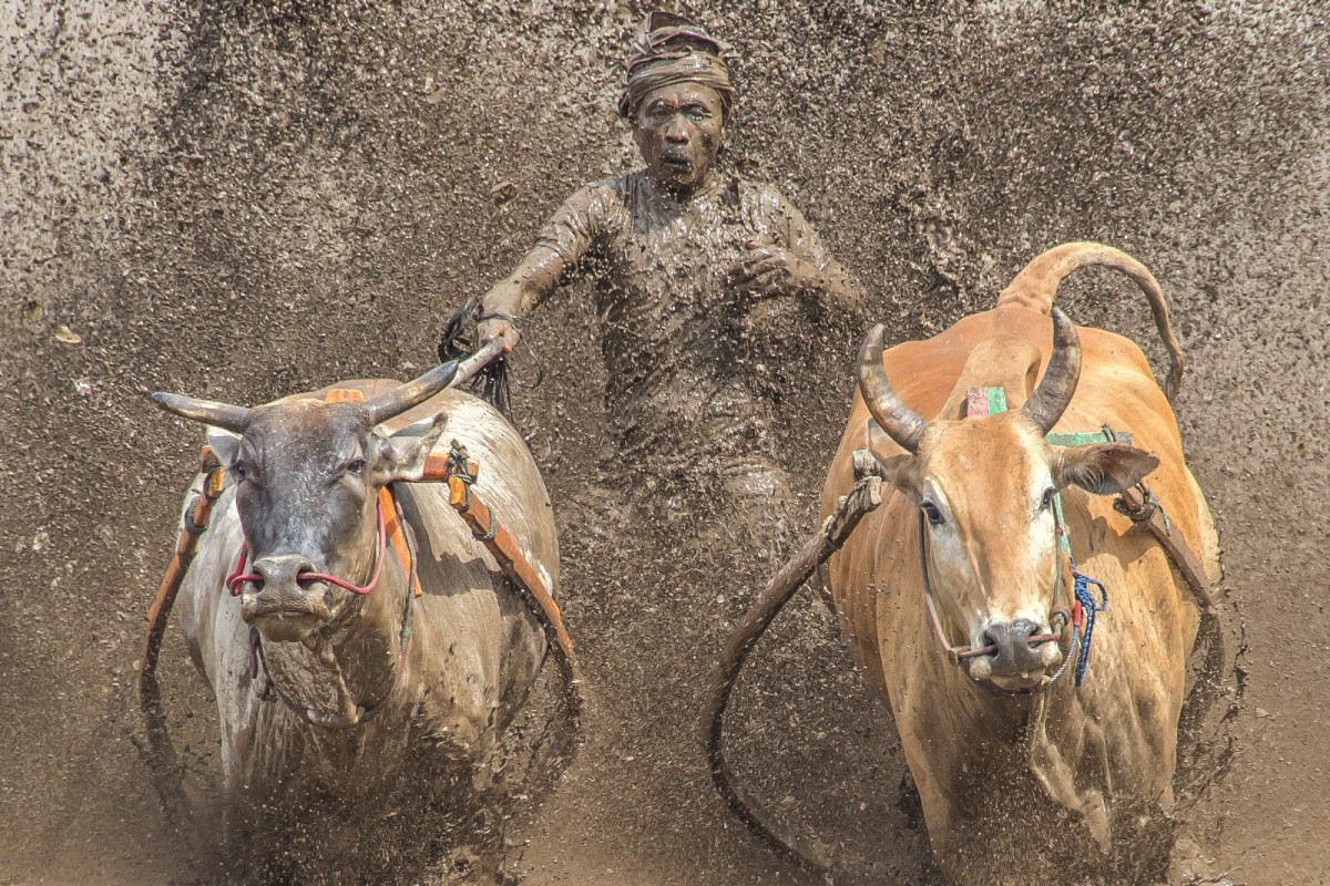 8f49cb61e20378edba53a8198f19c7e6_1772311