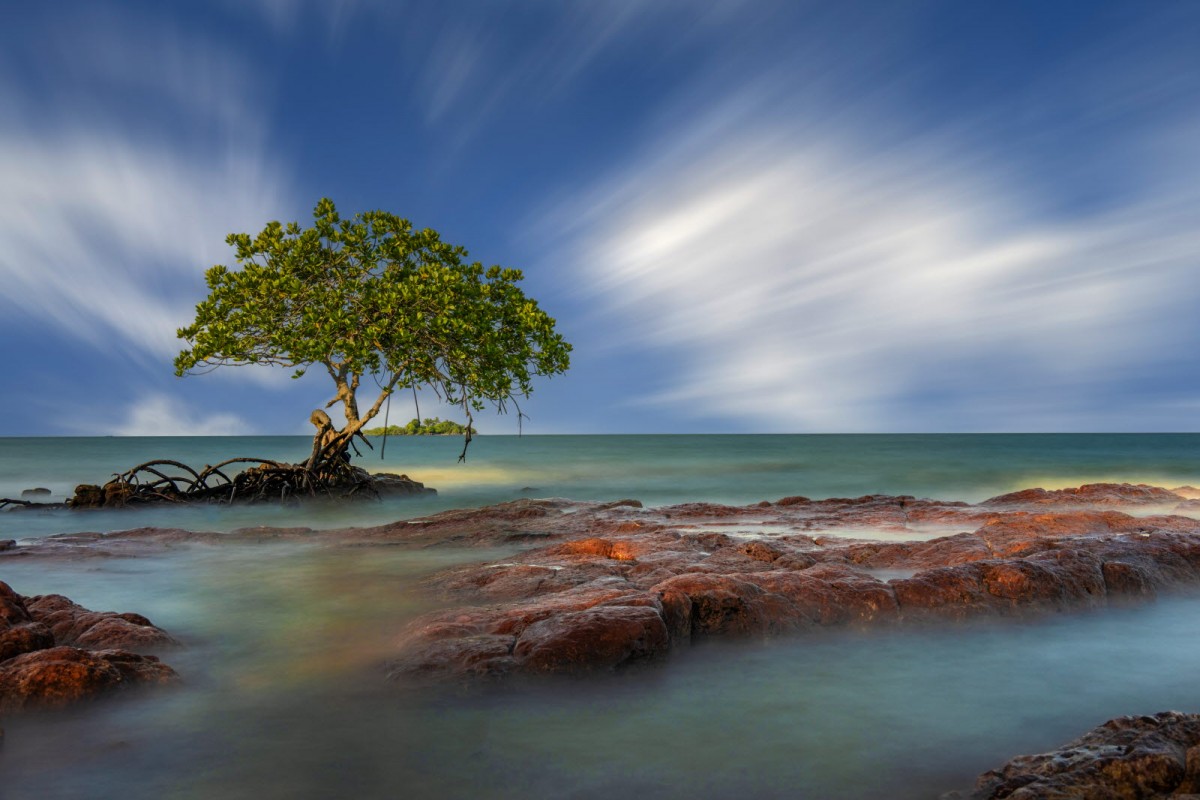 8f49cb61e20378edba53a8198f19c7e6_1772311