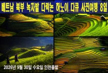 베트남북부 녹차밭 다락논 하노…